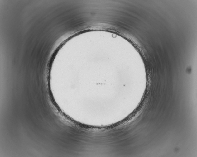 X0000116861122201002021100