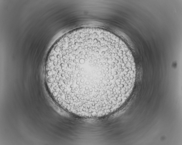 X0000116861130201002021101