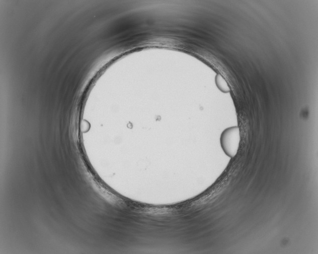 X0000116861131201002021101