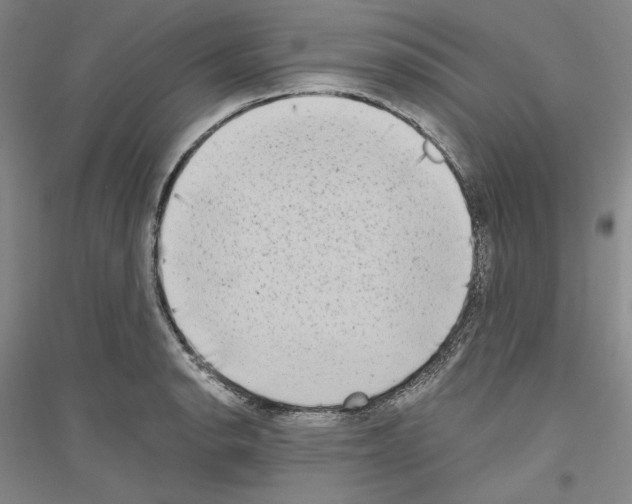 X0000116861134201002021101