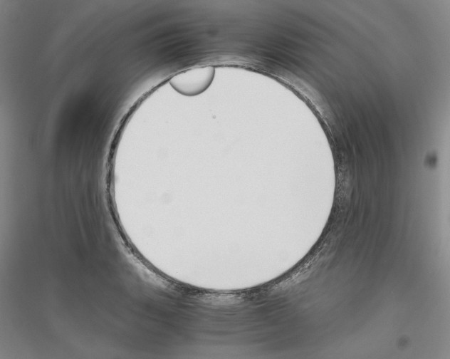 X0000116861135201002021101