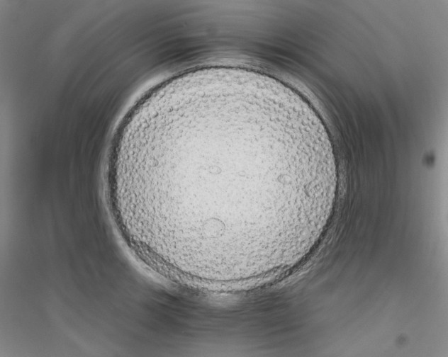 X0000116861139201002021101