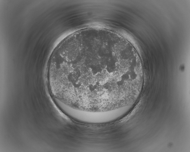 X0000116861141201002021101