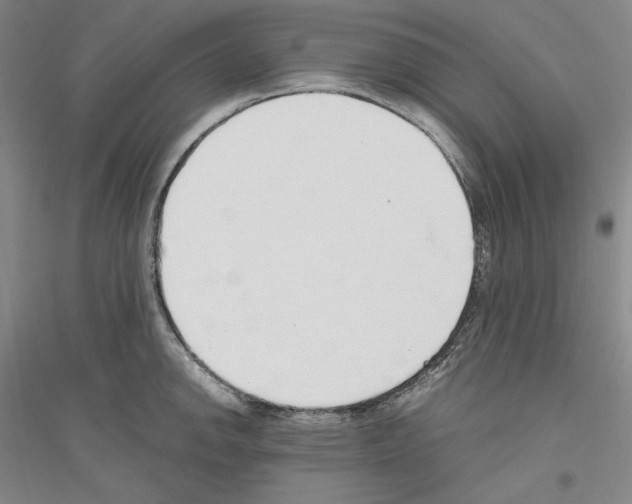 X0000116861142201002021101