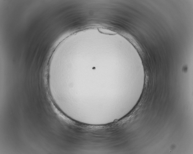 X0000116861143201002021101