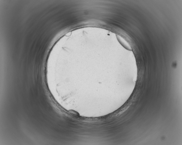 X0000116861146201002021101