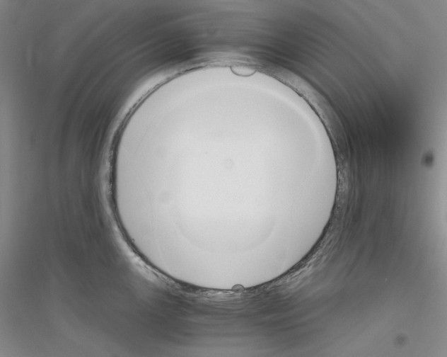 X0000116861147201002021101