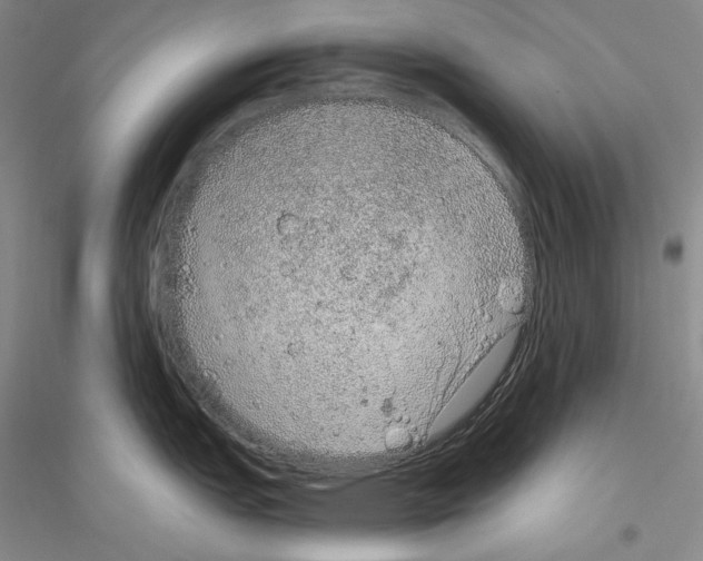 X0000116861151201002021101