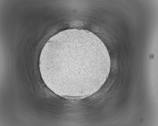 X0000116861153201002021100