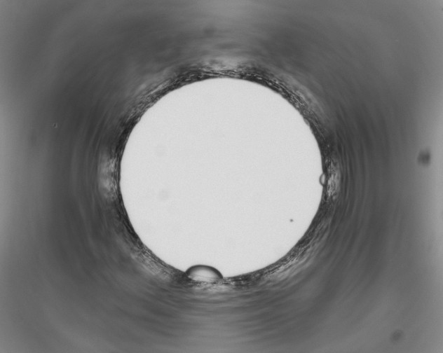 X0000116861156201002021100