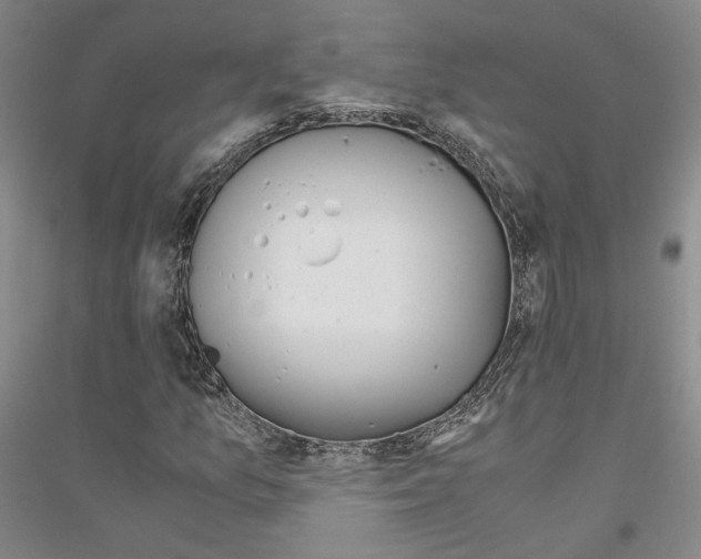 X0000116861157201002021100