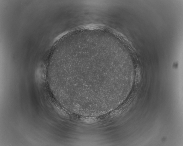 X0000116861158201002021100