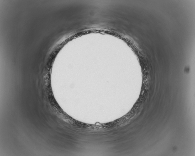 X0000116861159201002021100