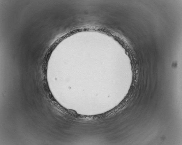 X0000116861160201002021100