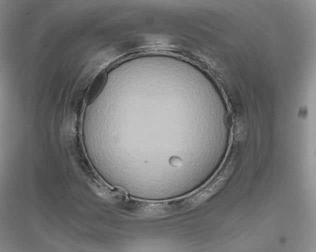 X0000116861161201002021100