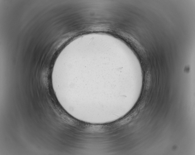 X0000116861162201002021100