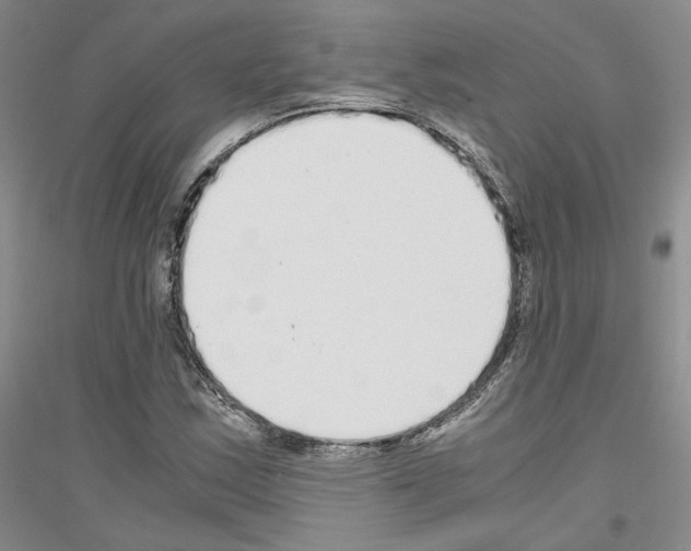 X0000116861163201002021100