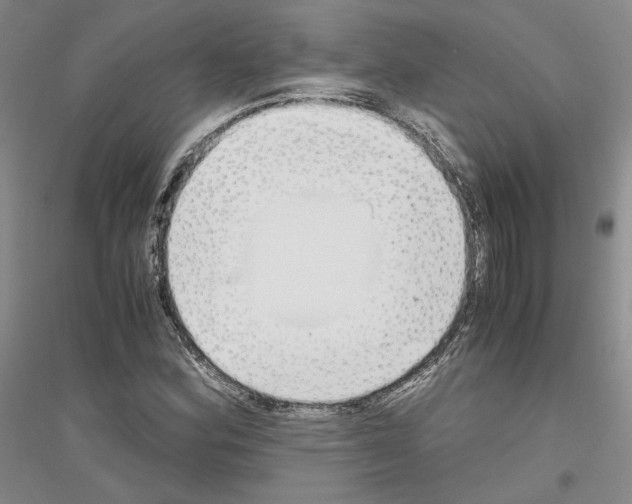 X0000116861164201002021100