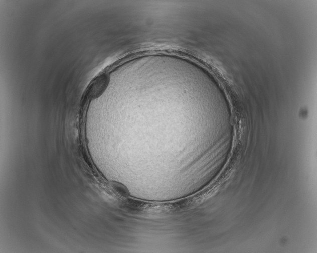 X0000116861165201002021100