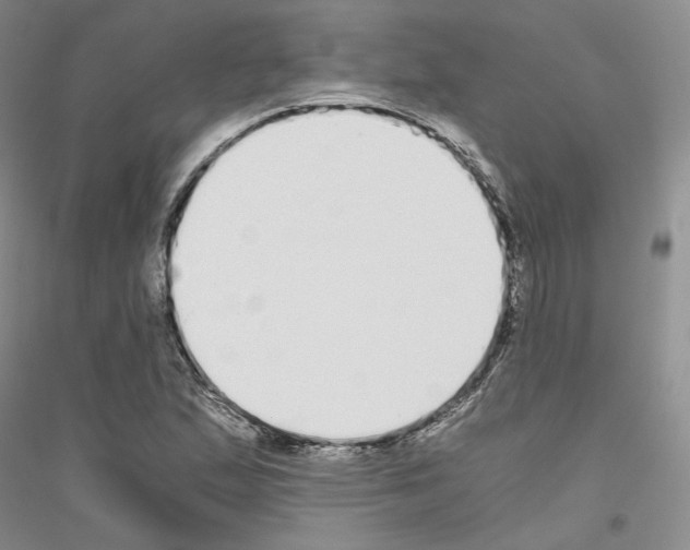 X0000116861167201002021100