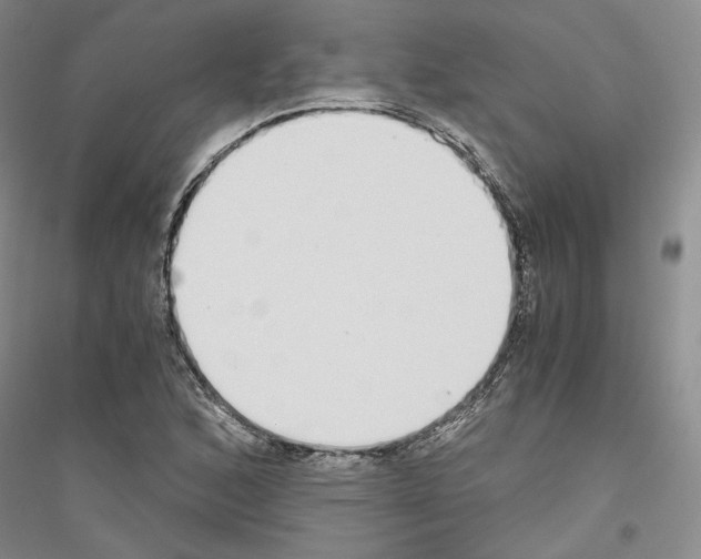 X0000116861168201002021100