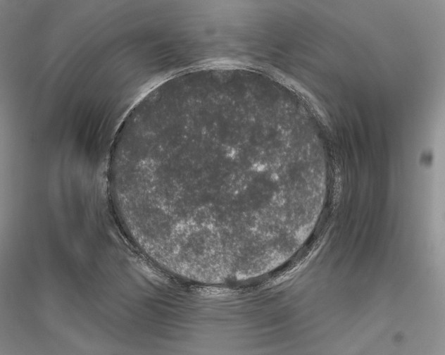 X0000116861170201002021100