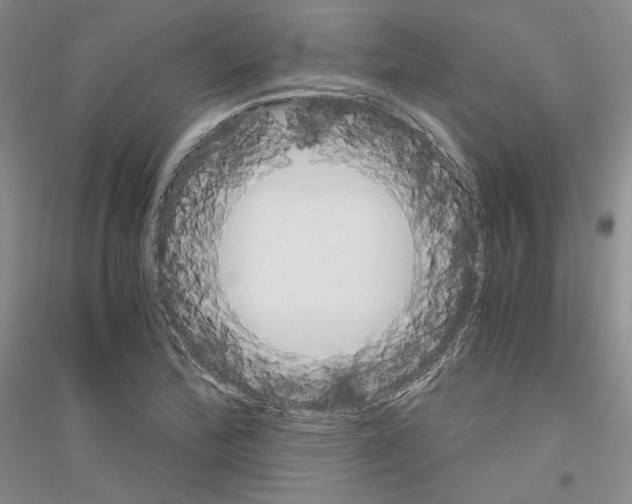 X0000116861172201002021100