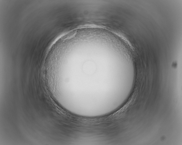 X0000116861173201002021100