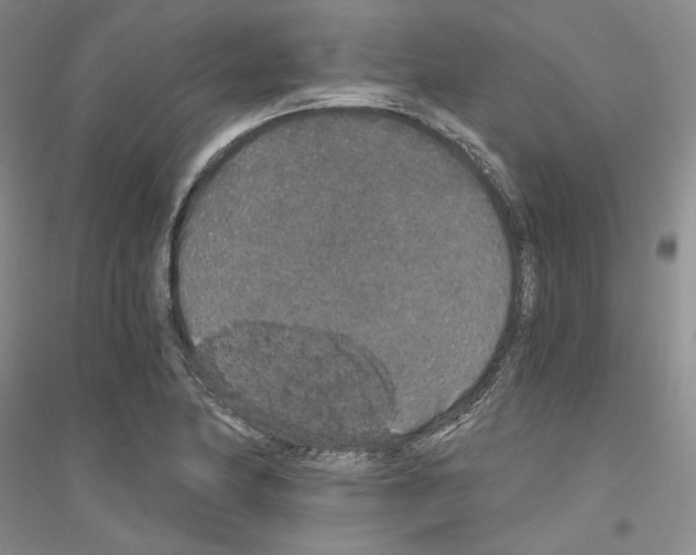 X0000116861174201002021100