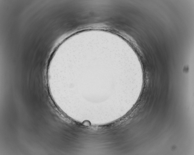 X0000116861176201002021100