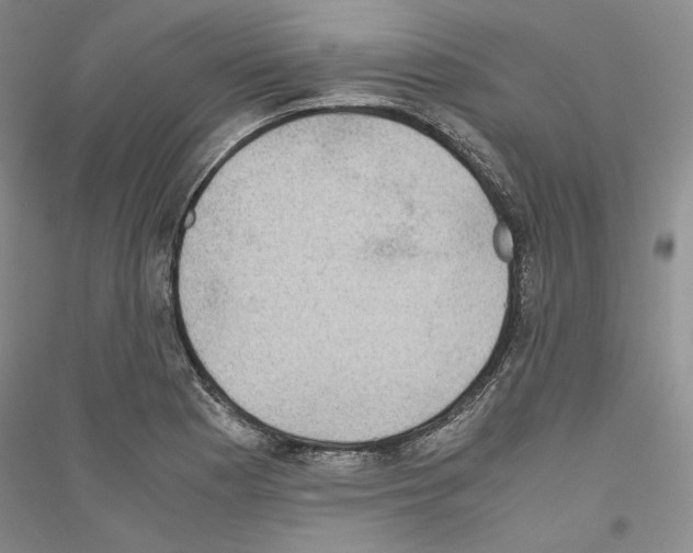 X0000116861177201002021100