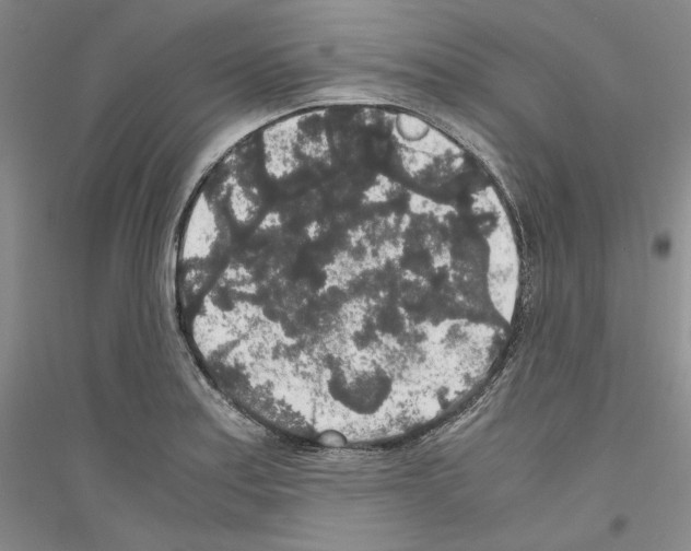 X0000116861179201002021100