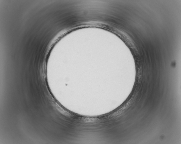 X0000116861180201002021100