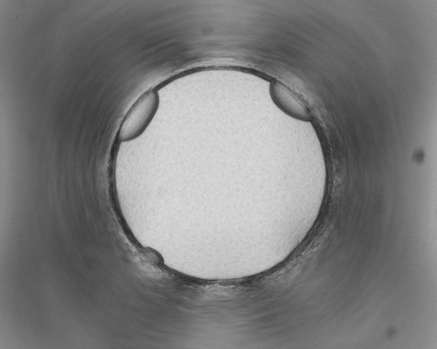 X0000116861181201002021100