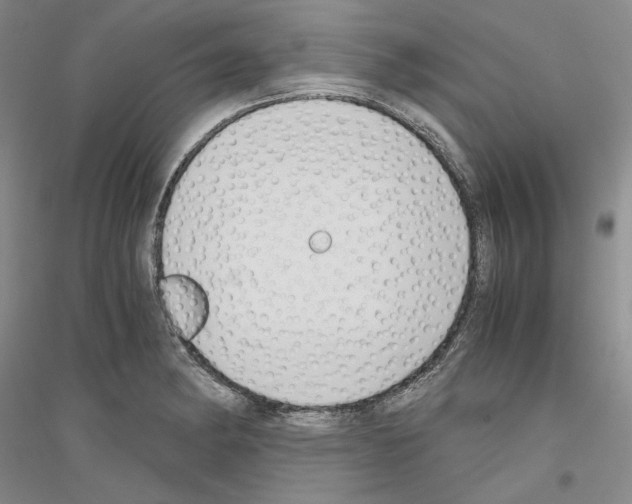 X0000116861182201002021100