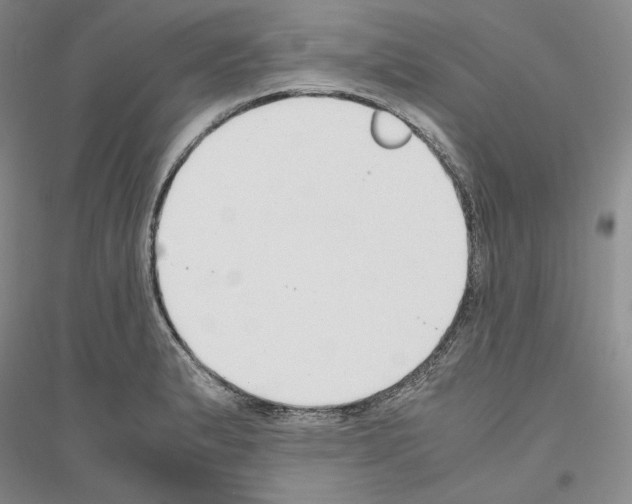 X0000116861183201002021100