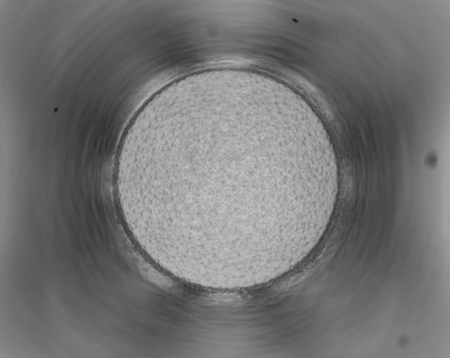 X0000116861186201002021100