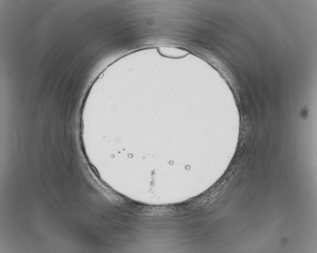 X0000116861187201002021100