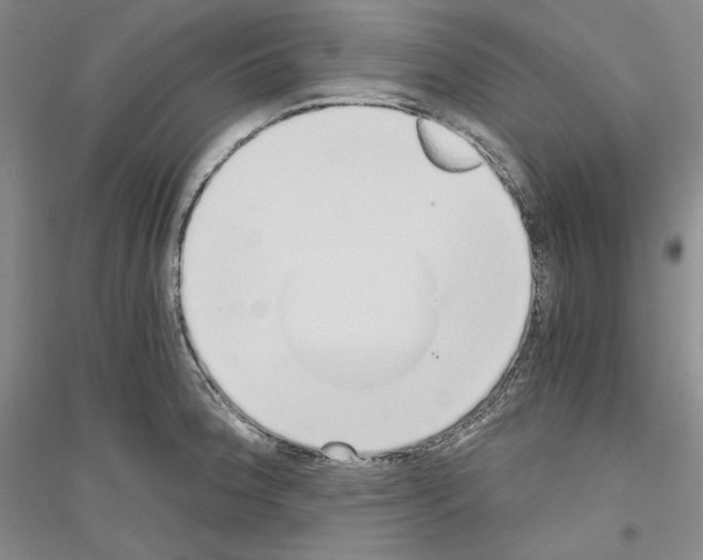 X0000116861188201002021100