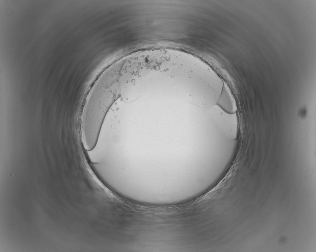 X0000116861189201002021100