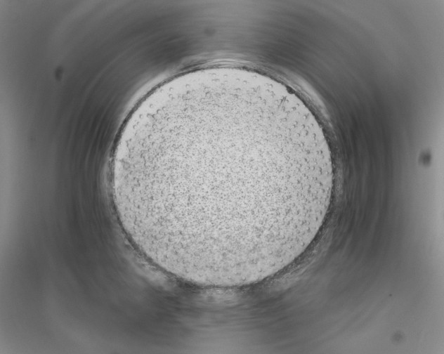 X0000116861190201002021100