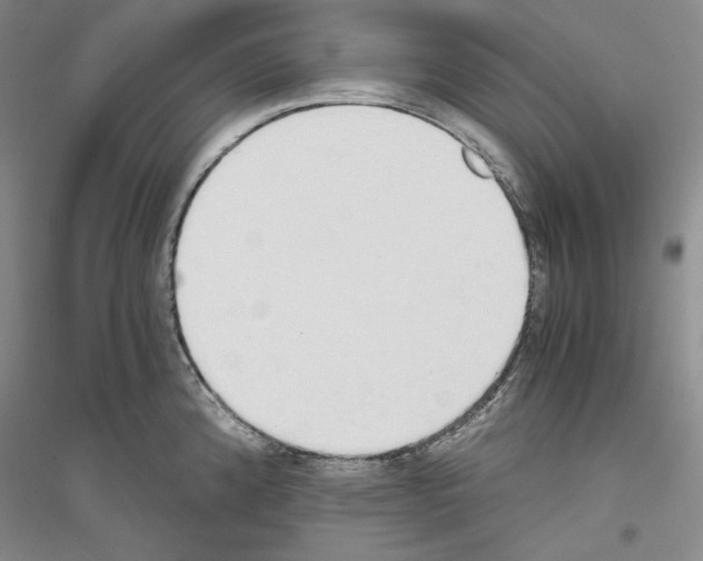 X0000116861192201002021100