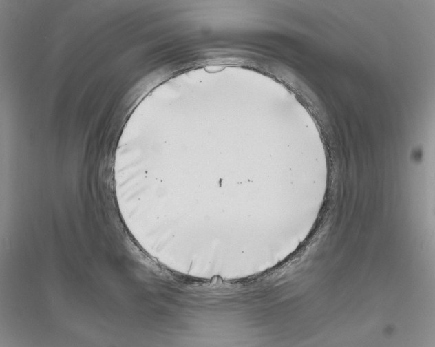 X0000116861193201002021100