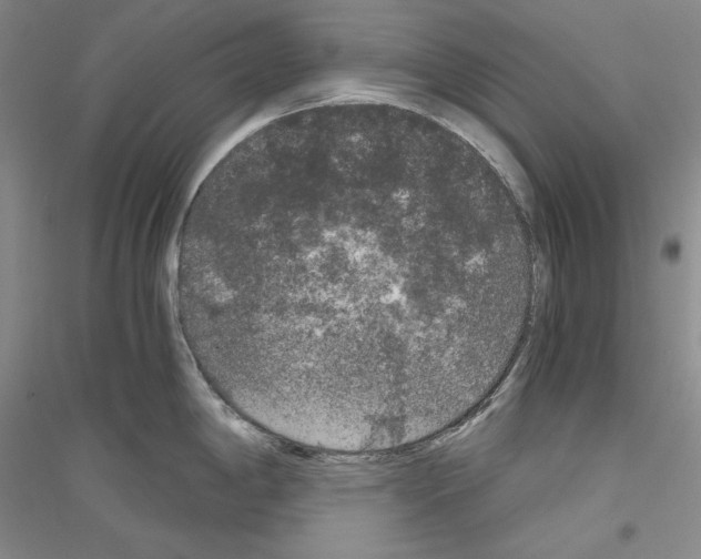 X0000116861198201002021100