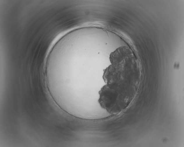 X0000116861200201002021100