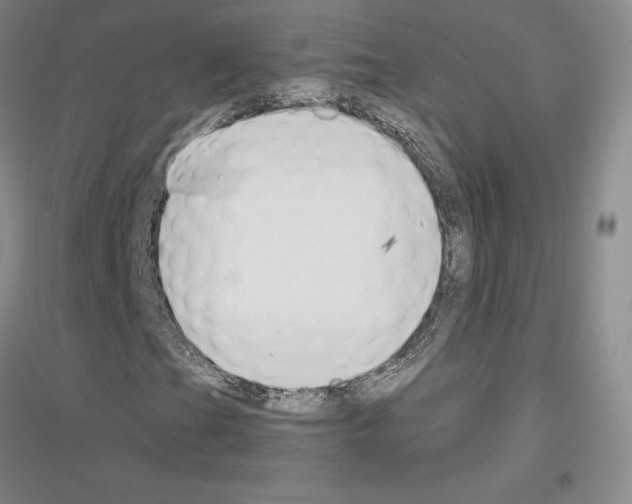 X0000116861201201002021059