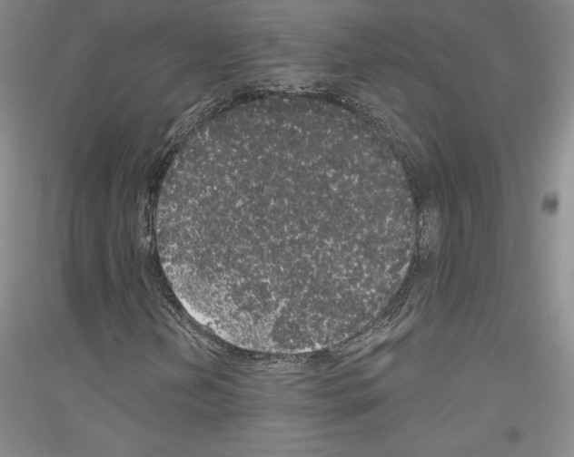 X0000116861202201002021059