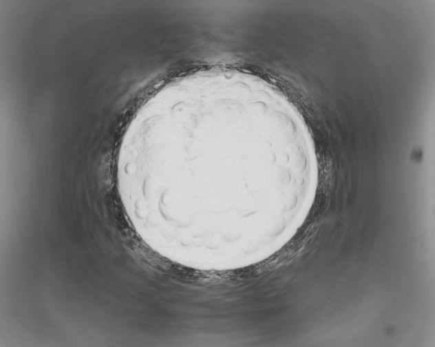 X0000116861205201002021059