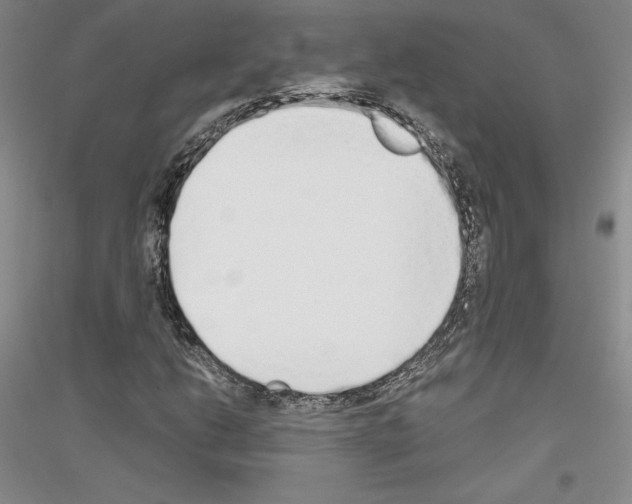 X0000116861206201002021059