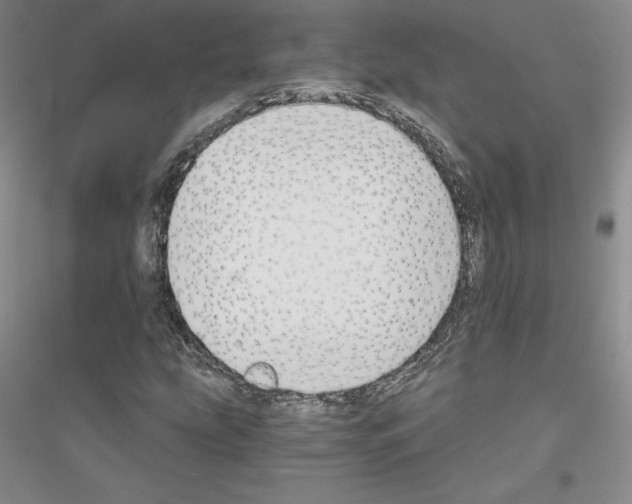 X0000116861207201002021059